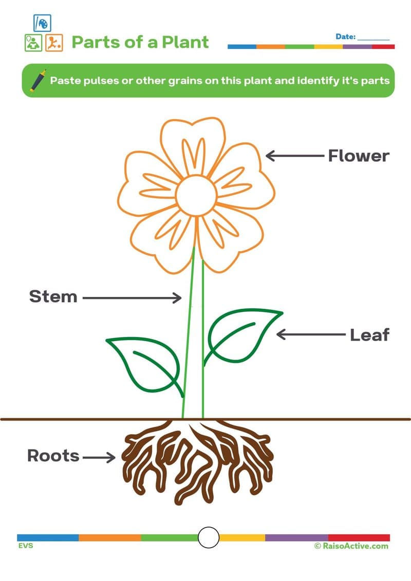 Preschool & Kindergarten Learning Activity Book: Math, Science, Literacy & Fun for Ages 3-7 - Page 3
